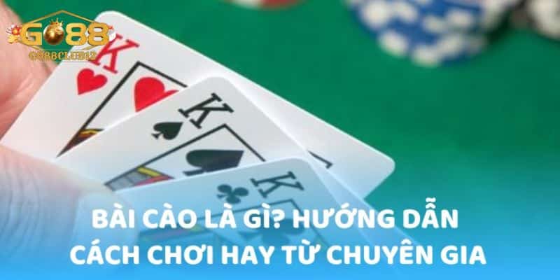 Khám phá những cách tham gia bài cào hiệu quả